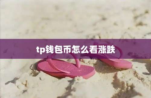 tp钱包币怎么看涨跌