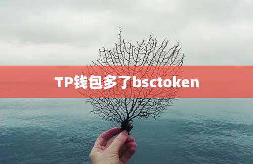 TP钱包多了bsctoken