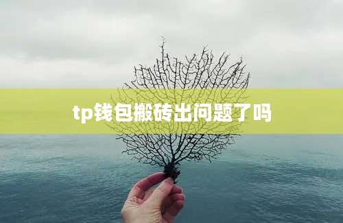 tp钱包搬砖出问题了吗