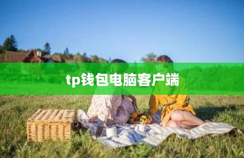 tp钱包电脑客户端