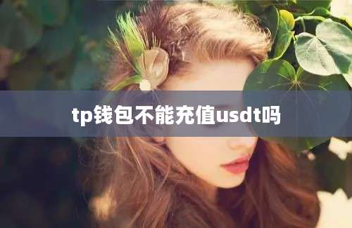 tp钱包不能充值usdt吗