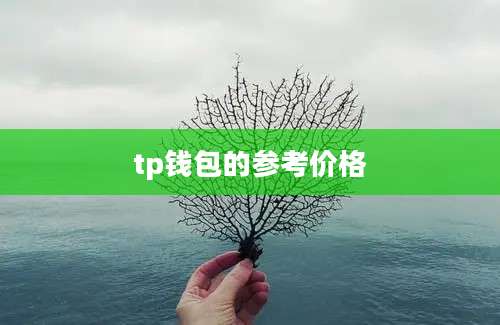 tp钱包的参考价格