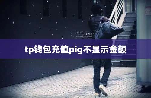 tp钱包充值pig不显示金额