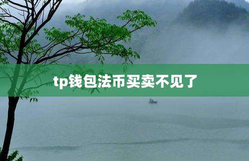 tp钱包法币买卖不见了