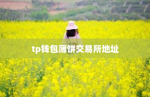 tp钱包薄饼交易所地址