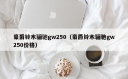 豪爵铃木骊驰gw250（豪爵铃木骊驰gw250价格）