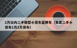 1万以内二手微型小货车蓝牌车（急卖二手小货车1万2万货车）