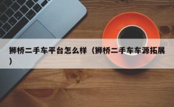 狮桥二手车平台怎么样（狮桥二手车车源拓展）