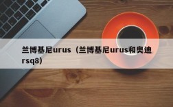 兰博基尼urus（兰博基尼urus和奥迪rsq8）