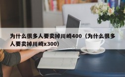 为什么很多人要卖掉川崎400（为什么很多人要卖掉川崎x300）