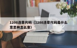 1208违章代码（1208违章代码是什么意思啊怎么查）