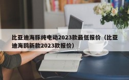 比亚迪海豚纯电动2023款最低报价（比亚迪海鸥新款2023款报价）