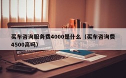 买车咨询服务费4000是什么（买车咨询费4500高吗）