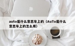 auto是什么意思车上的（AuTo是什么意思车上的怎么用）