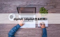 dipilot（dipilot怎么打开）