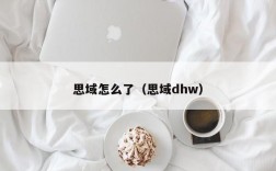 思域怎么了（思域dhw）