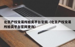 北京产权交易所拍卖平台官网（北京产权交易所拍卖平台官网查询）