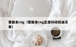 爱丽舍cng（爱丽舍cng怠速抖动烧油没事）