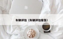 车辆评估（车辆评估报告）