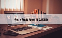 粤x（粤x和粤e有什么区别）