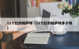 12个缸的帕萨特（12个缸的帕萨特多少钱）