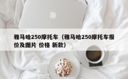 雅马哈250摩托车（雅马哈250摩托车报价及图片 价格 新款）