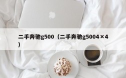 二手奔驰g500（二手奔驰g5004×4）