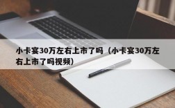 小卡宴30万左右上市了吗（小卡宴30万左右上市了吗视频）