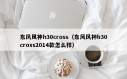 东风风神h30cross（东风风神h30cross2014款怎么样）