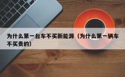 为什么第一台车不买新能源（为什么第一辆车不买贵的）