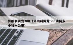 贝纳利黄龙300（贝纳利黄龙300油耗多少钱一公里）