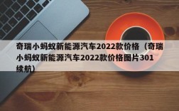 奇瑞小蚂蚁新能源汽车2022款价格（奇瑞小蚂蚁新能源汽车2022款价格图片301续航）