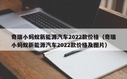 奇瑞小蚂蚁新能源汽车2022款价格（奇瑞小蚂蚁新能源汽车2022款价格及图片）