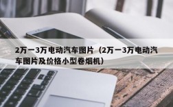 2万一3万电动汽车图片（2万一3万电动汽车图片及价格小型卷烟机）