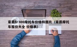 豪爵tr300摩托车价格和图片（豪爵摩托车报价大全 价格表）