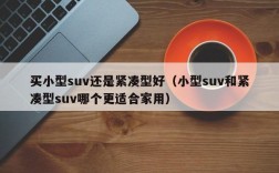 买小型suv还是紧凑型好（小型suv和紧凑型suv哪个更适合家用）