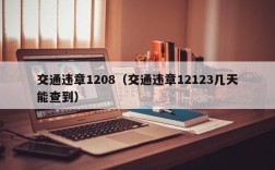 交通违章1208（交通违章12123几天能查到）