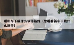 看新车下载什么软件最好（想看看新车下载什么软件）