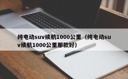 纯电动suv续航1000公里（纯电动suv续航1000公里那款好）