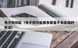 电子狗功能（电子狗功能很多就是不会走路的笑话）