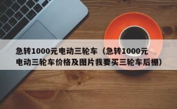 急转1000元电动三轮车（急转1000元电动三轮车价格及图片我要买三轮车后棚）