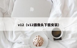 v12（v12摄像头下载安装）