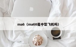 ma6（ma60是中型飞机吗）