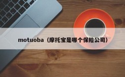 motuoba（摩托宝是哪个保险公司）