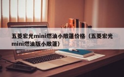 五菱宏光mini燃油小敞篷价格（五菱宏光mini燃油版小敞篷）