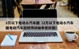 2万以下电动小汽车图（2万以下电动小汽车图电动汽车后桥传动轴承密封圈）