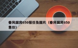 春风国宾650报价及图片（春风国宾650售价）