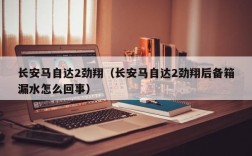 长安马自达2劲翔（长安马自达2劲翔后备箱漏水怎么回事）