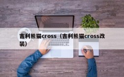 吉利熊猫cross（吉利熊猫cross改装）