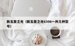 新五菱之光（新五菱之光6390一共几种型号）